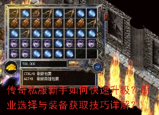 ����˽��������ο���������ְҵѡ����װ����ȡ������⣿