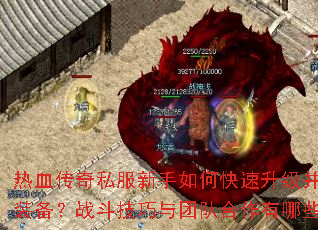 ��Ѫ����˽��������ο�����������ȡ����װ����ս���������ŶӺ�������Щ�ؾ���