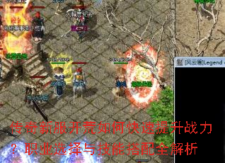 �����·�������ο�������ս����ְҵѡ���뼼�ܴ���ȫ����