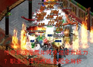 �����·�������ο�������ս����ְҵѡ���뼼�ܴ���ȫ����