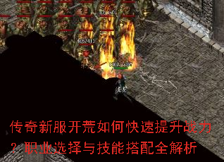 �����·�������ο�������ս����ְҵѡ���뼼�ܴ���ȫ����