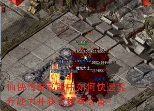 ��������˽������ο�������ս������ȡϡ��װ����