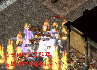 ����NPC��װ�����̳ǽű����ʹ�ã�