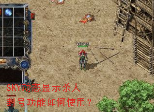 SKY��̬��ʾɱ�˷�Ź������ʹ�ã�