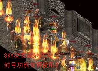 SKY��̬��ʾɱ�˷�Ź������ʹ�ã�