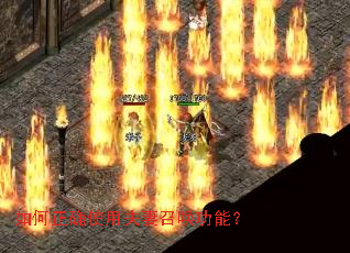 �����ȷʹ�÷����ٻ����ܣ�