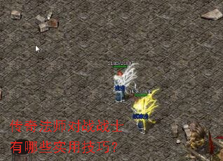 ���淨ʦ��սսʿ����Щʵ�ü��ɣ�