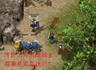 ���淨ʦ��սսʿ����Щʵ�ü��ɣ�