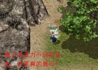 ʨ�Ӻ������������ϻ���Ч����ĸ���