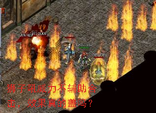 ʨ�Ӻ������������ϻ���Ч����ĸ���