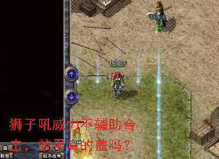 ʨ�Ӻ������������ϻ���Ч����ĸ���