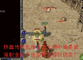 ��Ѫ����˽��ʮ��������˭����ǿְҵ���ָ����ѡ����������