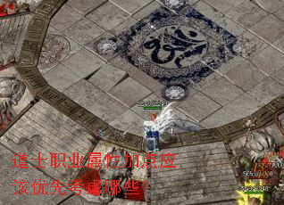 道士职业属性加点应该优先考虑哪些? 道士职业属性加点应该优先考虑哪些?