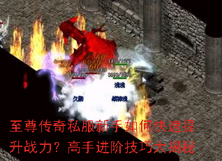 ������˽��������ο�������ս�������ֽ��׼��ɴ����