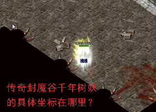 �����ħ��ǧ�������ľ������������