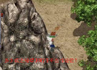 ���ټ������ö�ˢ�ֲ�������飿