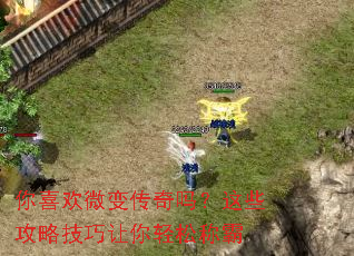 ��ϲ��΢�䴫������Щ���Լ����������ɳư�