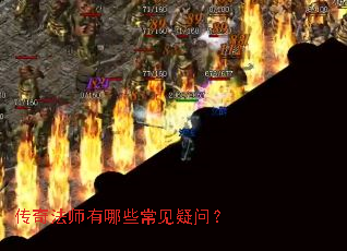 ���淨ʦ����Щ�������ʣ�