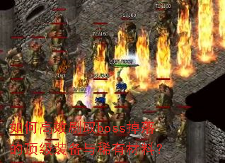 ��θ�Чˢȡboss����Ķ���װ����ϡ�в��ϣ�