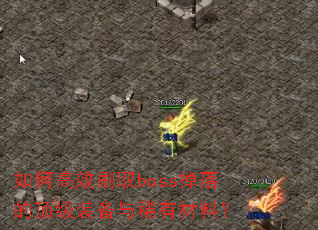 ��θ�Чˢȡboss����Ķ���װ����ϡ�в��ϣ�