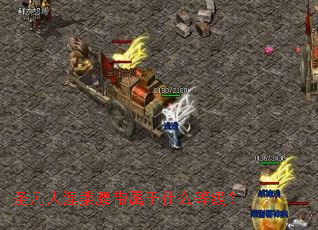 ʥ����������������ʲô�ȼ���