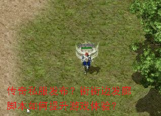 ����˽���������ֱֽ߷��Ƚű����������Ϸ���飿