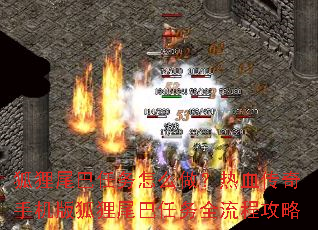 ����β��������ô������Ѫ�����ֻ������β������ȫ���̹���