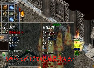 ����˽��������ο��������ȼ���