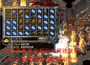 ����̩΢��©������޸���sf999.co������Ϸ����ָ��