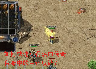 ��ο��ٻ����Ѫ����˽���е�����������