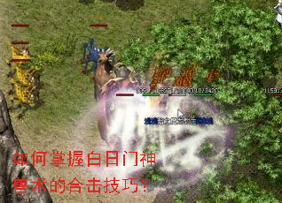 ������հ������������ĺϻ����ɣ�