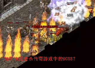 ��ο��ٻ�ɱ������Ϸ�е�BOSS��