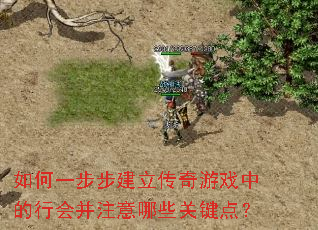 ���һ��������������Ϸ�е��лᲢע����Щ�ؼ��㣿