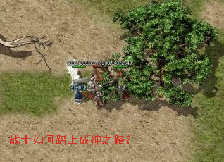 սʿ���̤�ϳ���֮·��