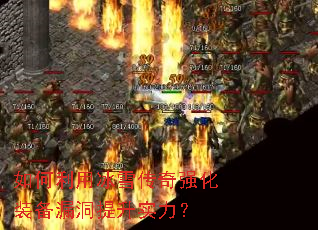 ������ñ�ѩ����ǿ��װ��©������ʵ����