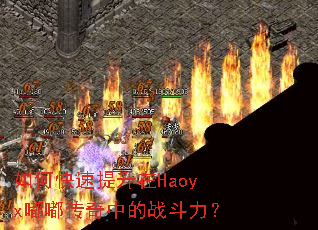 ��ο���������Haoyx�ུ����е�ս������