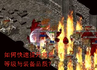 ��ο���������ɫ�ȼ���װ��Ʒ�ʣ�