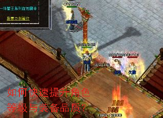 ��ο���������ɫ�ȼ���װ��Ʒ�ʣ�