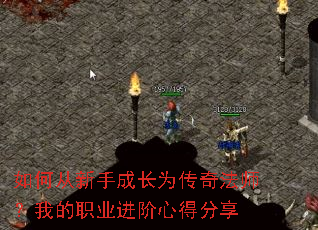 ��δ����ֳɳ�Ϊ���淨ʦ���ҵ�ְҵ�����ĵ÷���