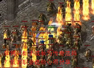 ��δ����ֳɳ�Ϊ���淨ʦ���ҵ�ְҵ�����ĵ÷���