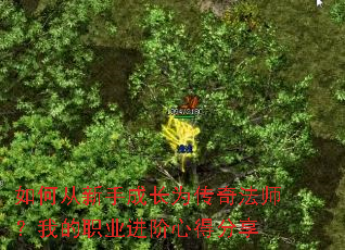 ��δ����ֳɳ�Ϊ���淨ʦ���ҵ�ְҵ�����ĵ÷���