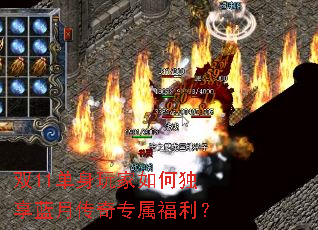 ˫11���������ζ������´���ר��������