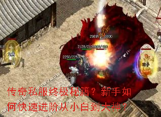 传奇私服终极秘籍?新手如何快速进阶从小白到大神? 传奇私服终极秘籍?新手如何快速进阶从小白到大神?