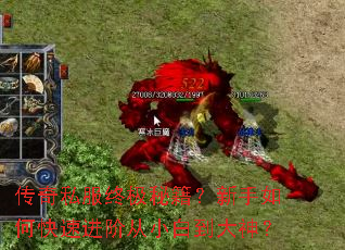 传奇私服终极秘籍?新手如何快速进阶从小白到大神? 传奇私服终极秘籍?新手如何快速进阶从小白到大神?