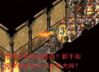 传奇私服终极秘籍?新手如何快速进阶从小白到大神? 传奇私服终极秘籍?新手如何快速进阶从小白到大神?