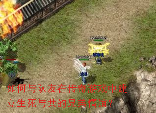 ���������ڴ�����Ϸ�н��������빲���ֵ����ꣿ