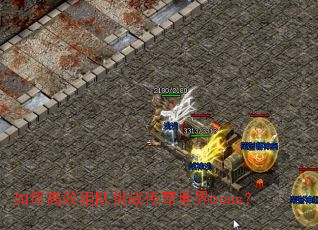 ��θ�Ч�����ս��������boss��