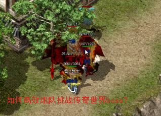 ��θ�Ч�����ս��������boss��