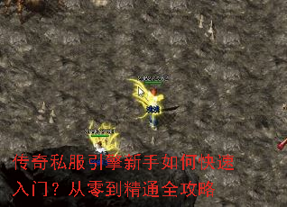 ����˽������������ο������ţ����㵽��ͨȫ����