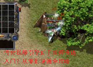 ����˽������������ο������ţ����㵽��ͨȫ����